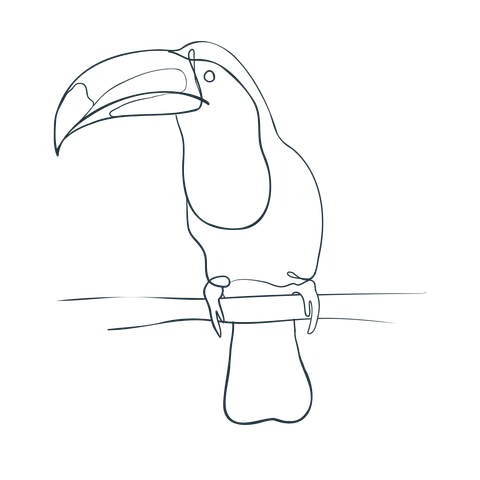Toco Toucan — The Keenest Marketing Expert